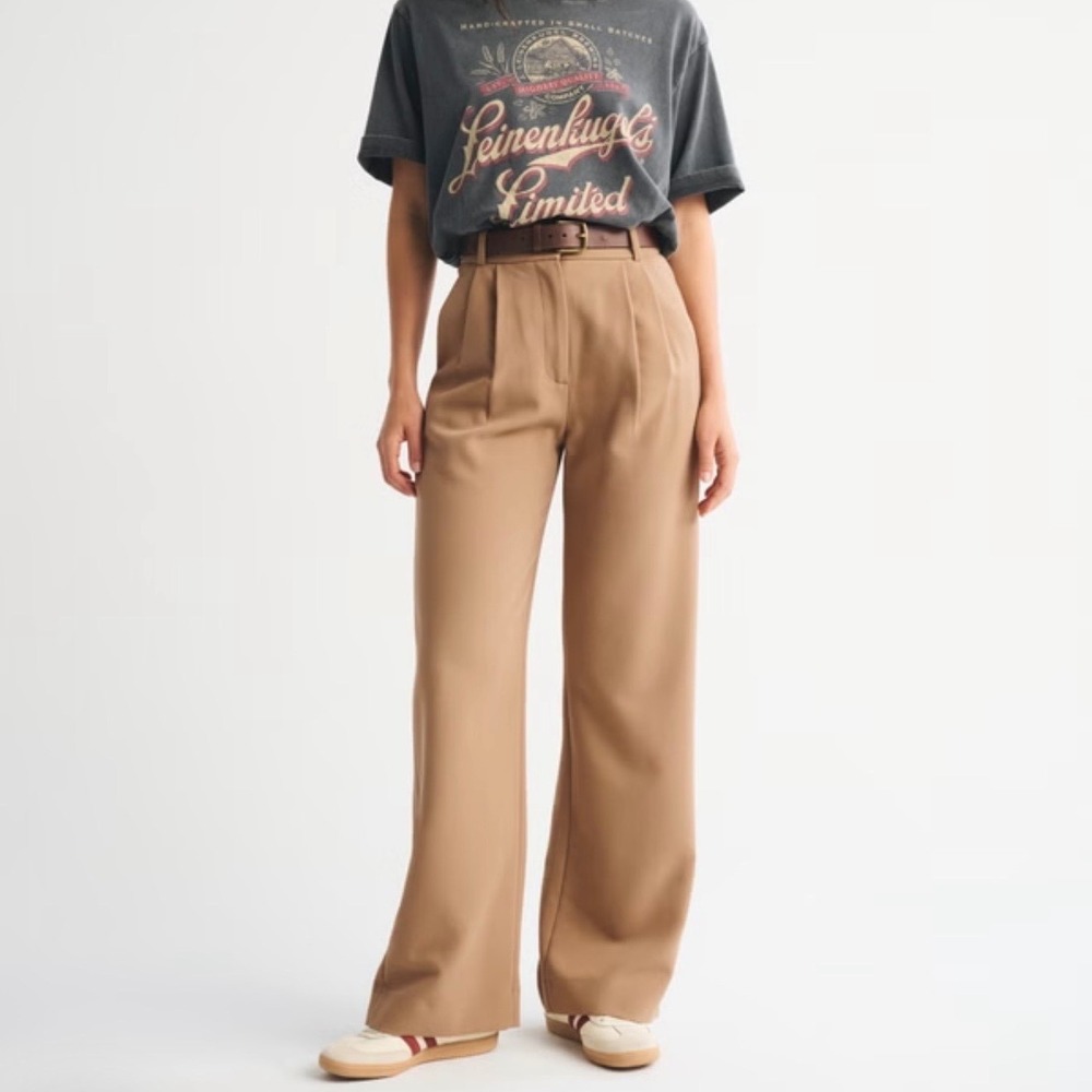 Abercrombie & Fitch Sloane Tailored Wide Leg Pant Womens 24 00S Tan Minimalist